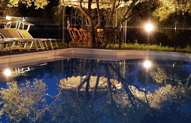 la corte degli ulivi - Foto 54