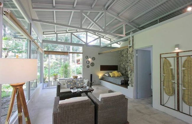 Relaxing Sound of River Birds Squirrels - Foto 16