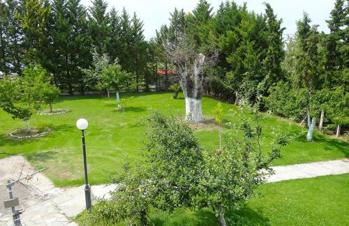 Chroma Studios - Photo 18