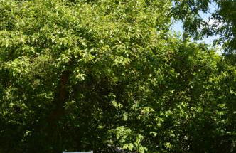 Glashaus Andres Fünf-Sterne-Ferienhaus - Foto 32