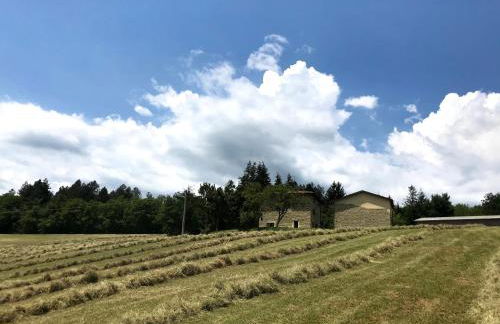 Agriturismo Il Casone - Photo 15