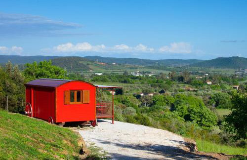 Poggio Diavolino - Suvereto - Foto 27