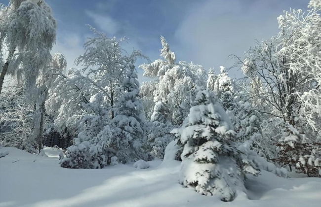 Comfy Holiday Home near Forest in Medenec - Foto 31