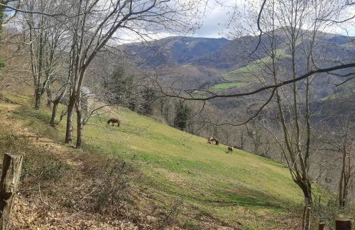 CASA RURAL TOKI ONA - Foto 37