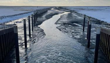Ferienwohnung Watt n Deichblick - Foto 3