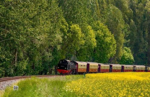 Comfortable Apartment near Insel Poel - Foto 20