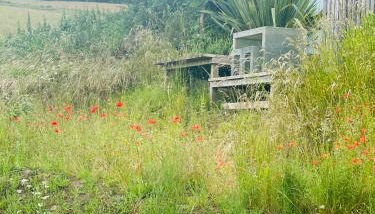 Collective Yard - Foto 2, Garden view