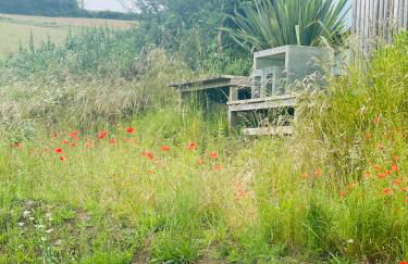 Collective Yard - Foto 2