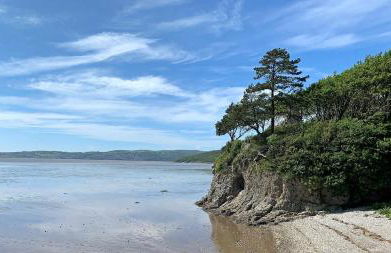 Pye Hall Cottage - Photo 19