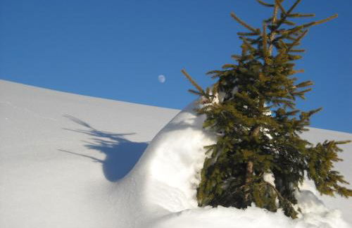 Casa da Aldo - Photo 22