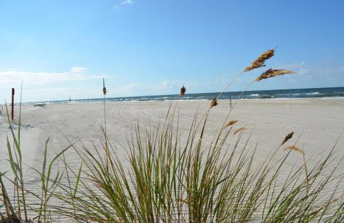 OW Wiktoria - Foto 15