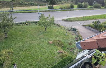 Eichhörnchen-Haus Körner im Schwarzwald - Foto 23