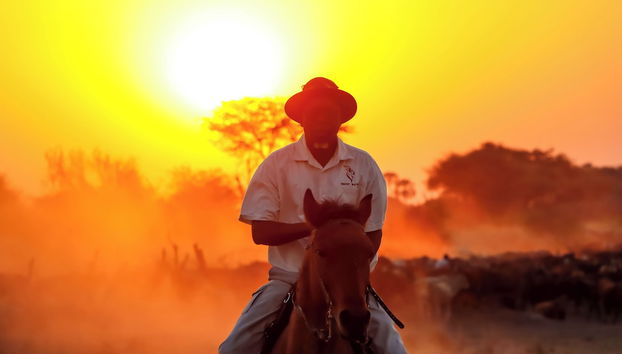 Escursioni a cavallo