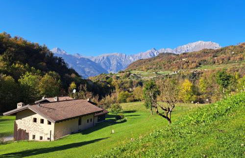 Quader nidi nel verde - Foto 7