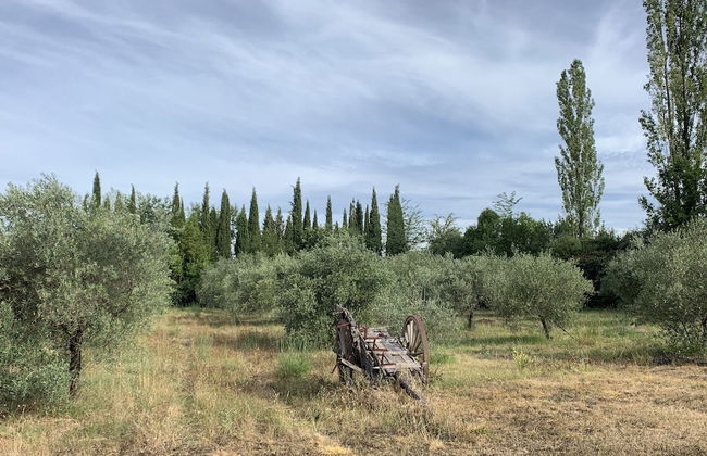 Mas de la Riale - Foto 78