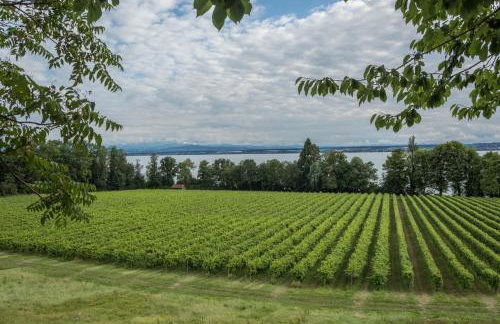 Obst- und Ferienhof Schäfler - Foto 42