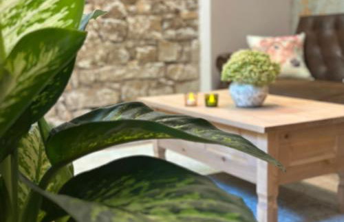 Harz-Bleibe Wernigerode - Foto 8