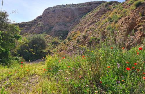 Casa Tropical, serene poolside retreat in nature - Foto 22