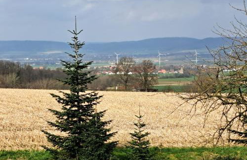 Zur schönen Aussicht - Foto 9