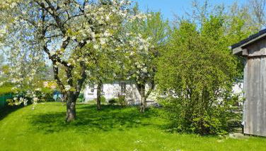 Landkate im Dorfkern - Foto 2, Garden view