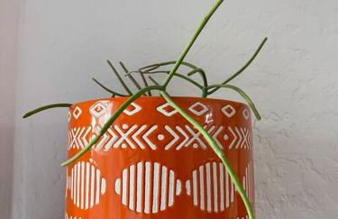 Serene Town home in Chandler with pool - Foto 40