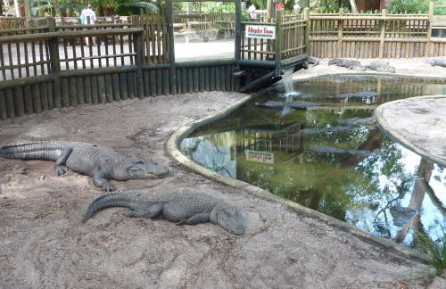 Serene Tiny House Retreat in Japanese Garden - Foto 37