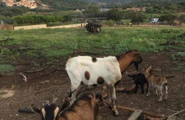 Villetta DESSANAI - Foto 51