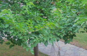 Zoe By The Sea - Foto 36