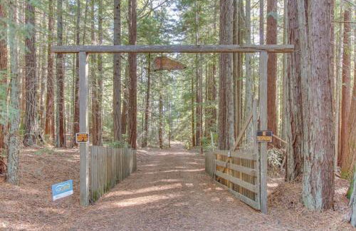 The Redwood House - Photo 28