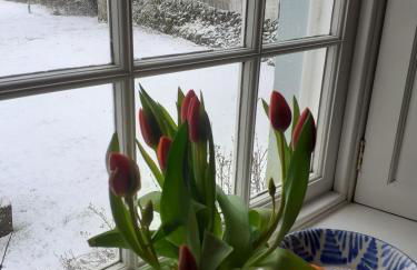 Riverside House - Foto 56