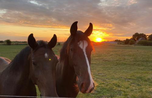 Jensen-Hoff - Foto 20