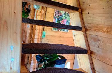 Noclegi "LAS WYPAS" Trzcianka - Foto 80