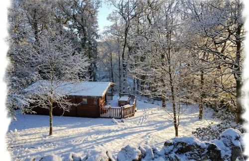 Blelham Tarn Rustic cabin in tranquil woodland - Foto 23