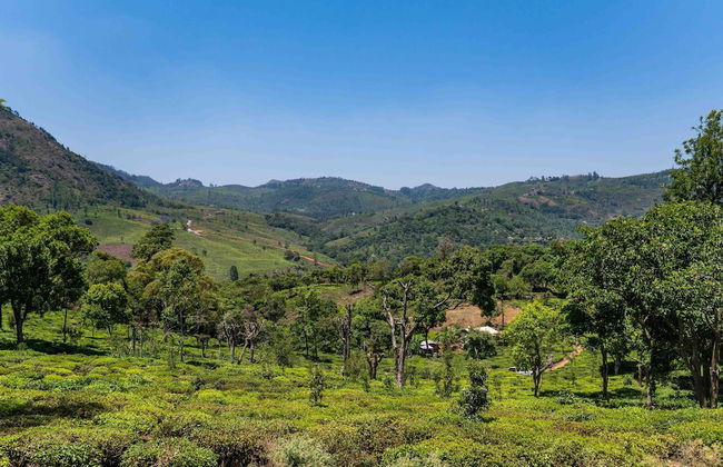 Pihoo Villa by Vista Rooms - Foto 21