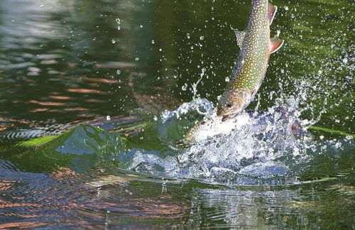 Apartment in Alsace With Private Terrace - Foto 48