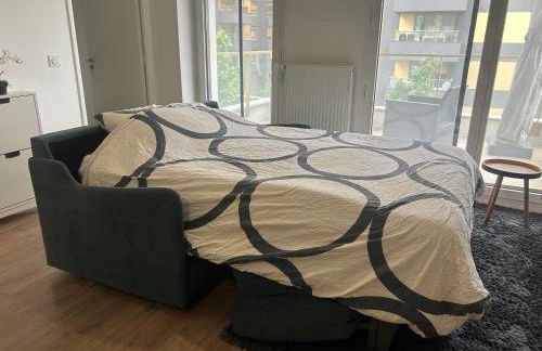 Superbe T2 proche de la Gare RER TGV Massy Palaiseau - Foto 13