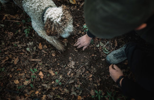 Agriturismo Ca' del Re - Foto 59