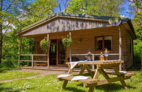 Fiddlers Green Log Cabin Tenby - Foto 1