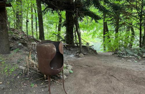 WaldFloß am Silbersee - Nature Pure Life! - Foto 11