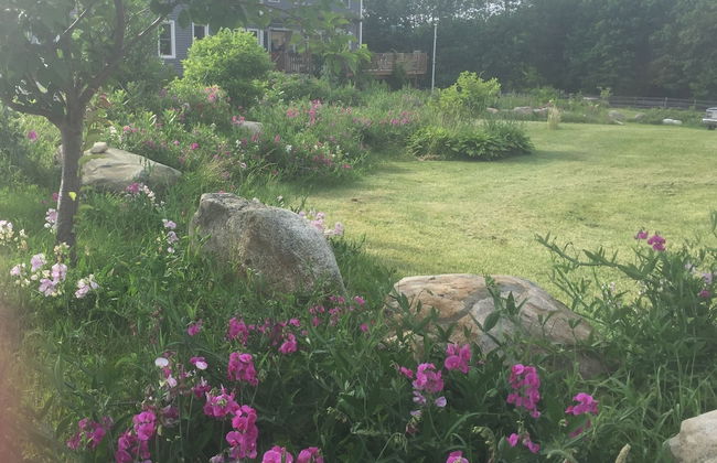 Denmark Stage Stop House - Photo 79