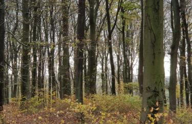 Apartment Am Sternberg 236 - Foto 62