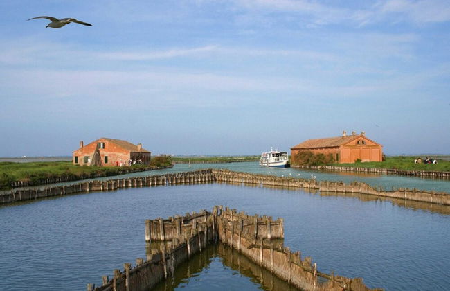 Beachy Comfort in Lido di Spina - Foto 46