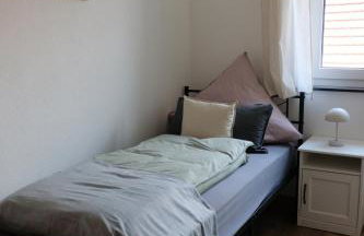 Bio-Obsthof Geiger - Foto 15