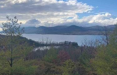 HoneyBee Homes - Foto 44