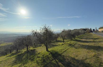 la villa bella vista - Foto 7