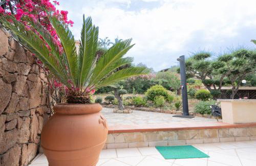 Villeta The Butterflies - Foto 13