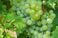 La Casa Vecchia - Foto 17