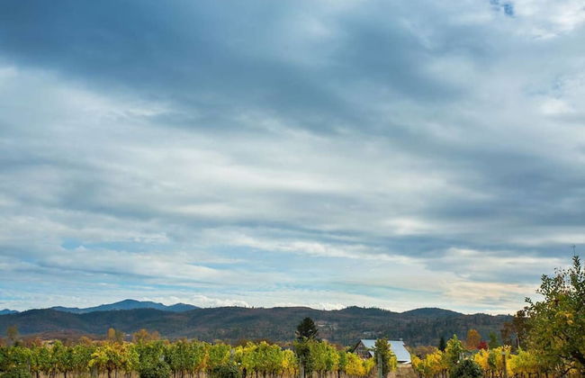 Wine Suite at Rellik House. Winery & Alpaca Farm - Foto 13