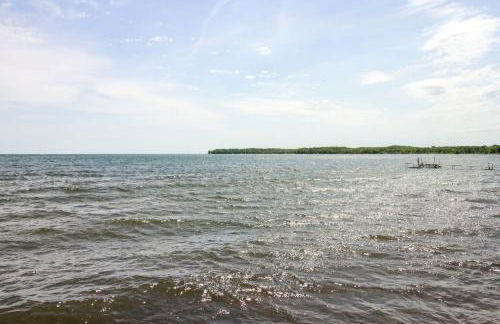 Boat and Fish on Mille Lacs Lake Walleye Cabin - Foto 29