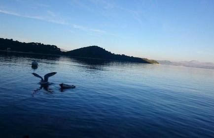 Villa Anita - Foto 31